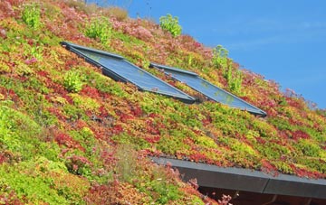 West Rasen living roof systems